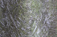 Old Knebworth fibreglass roof work